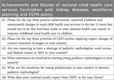 Achievements, priorities and strategies in pediatric nephrology in Europe: need for unifying approaches or acceptance of differences?